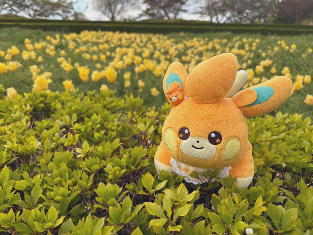 pamoonmoti's tweet image. ⸜🌷︎⸝‍