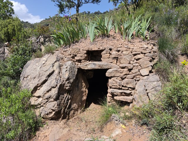 caudelguille's tweet photo. La restaurada barraca del Camí del Vilet, als Fondos.
Aquests dies els lliris blaus han florit a gairebé totes les barraques
#santllorençsavall #pedraseca #drystone #Salallassera
enllaç👉https://t.co/lQjn2sbJHf https://t.co/UrGGlJPoJK