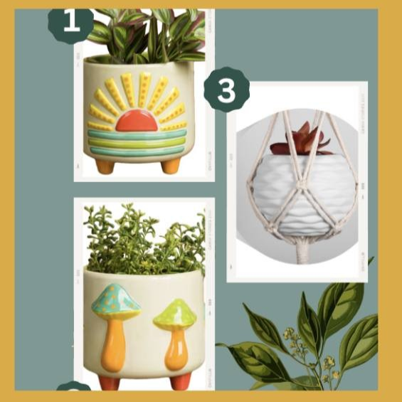 We still have a few spots left for our Pints &amp; Pottery event with Odd Frog Creations this Wednesday night: we're creating the pottery planter of your choice! 
More info and tickets here: loom.ly/j15R--0