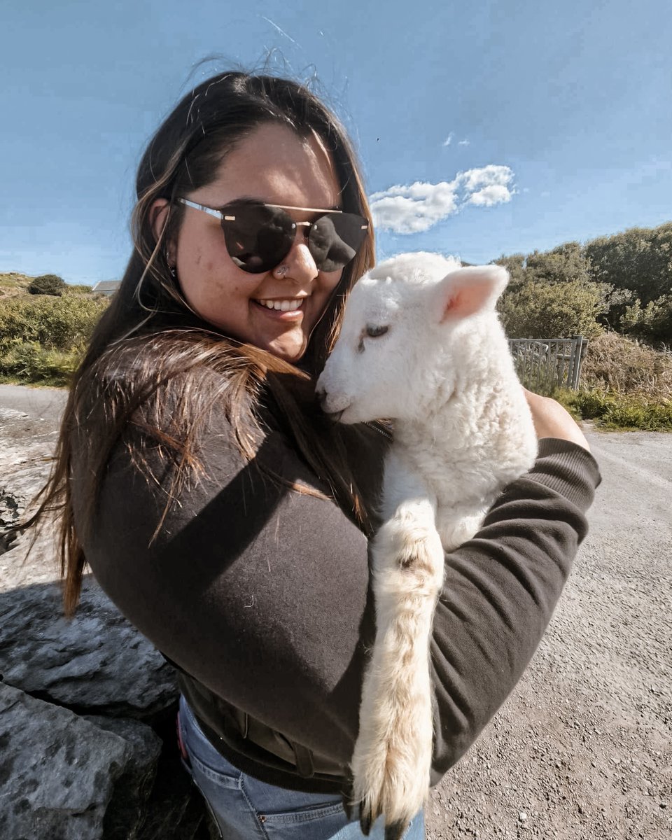 MystAdventures's tweet image. Haunted castles? Yes.
Ancient ruins? Absolutely.
But also… baby lambs and Mya melting our hearts in Ireland 🐑💚
#SpringInIreland #TourMagic #TravelJoy #MysteriousAdventuresTours