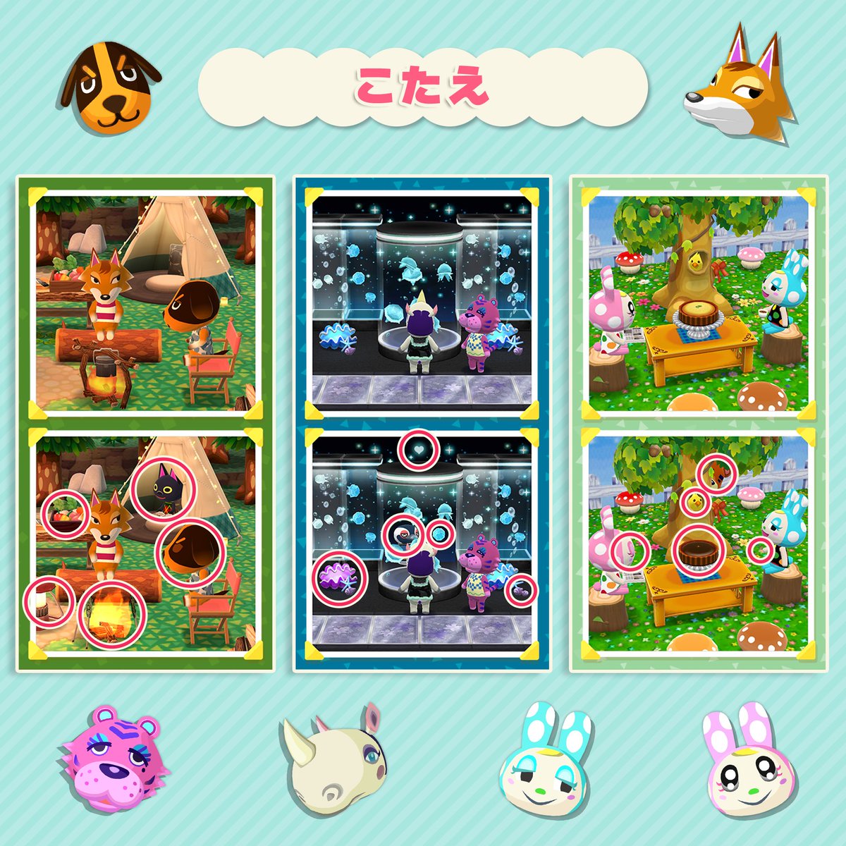 ポケ森サマーキャンペーン / どうぶつの森 ポケットキャンプ