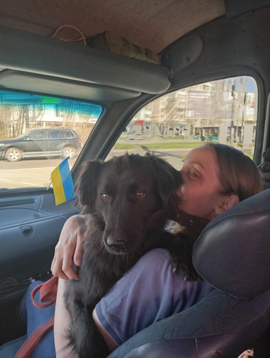 “He’s the favorite in the family,” our evacuation manager told us after sending photos of dog Zhuk with his new people 🥹
We evacuated Zhuk, a black dog, from the Donetsk region last December at the request of soldier to a shelter. And the other day we received the news that he