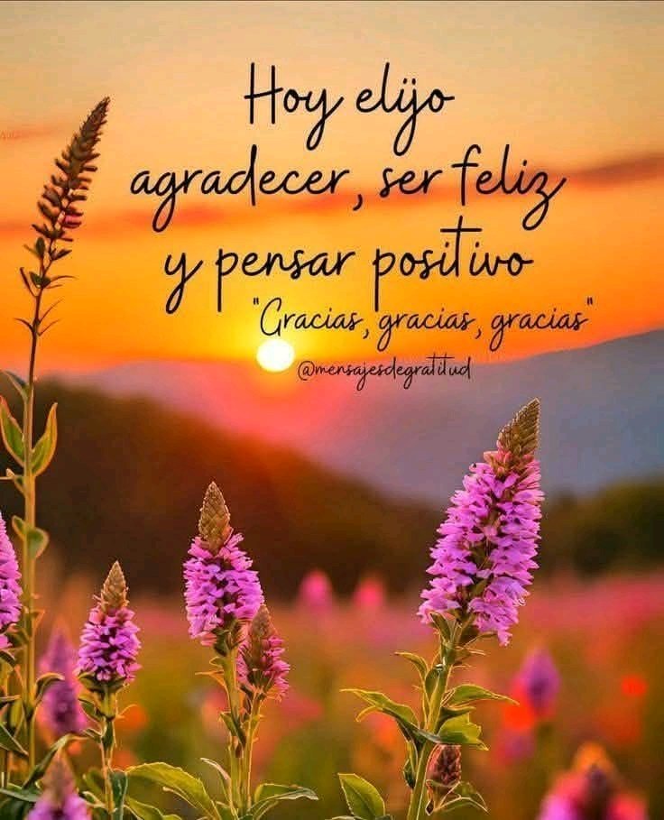 Buenos días desde #Bayamo 
"Hoy elijo agradecer, ser feliz y pensar positivo", nos invita a tomar las riendas de nuestra vida y a crear un día lleno de gratitud, felicidad y optimismo. Nos recuerda que tenemos el poder de elegir nuestra actitud y de transformar nuestra realidad.