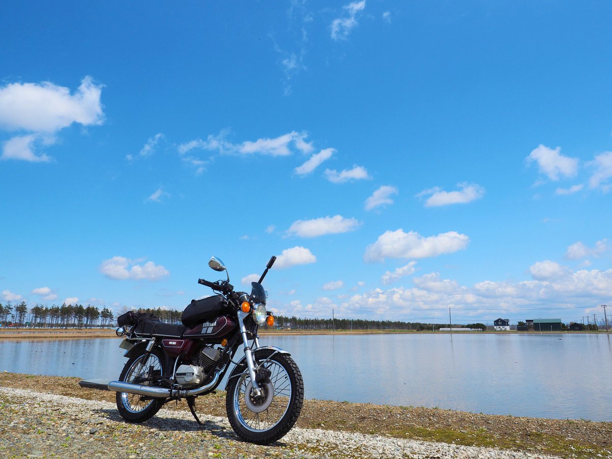 Elegano0's tweet photo. GW後半戦のわたし🌸
長沼町役場裏、馬追運河の桜が見事。
誰も居ない長沼17区の桜並木、新緑眩しく水が引かれた田んぼもキラキラ☀
人混み苦手なマイナーツーリング
#長沼町 #桜並木 #長沼町役場 #プチツーリング #RD90 https://t.co/jw7oBC6ADm