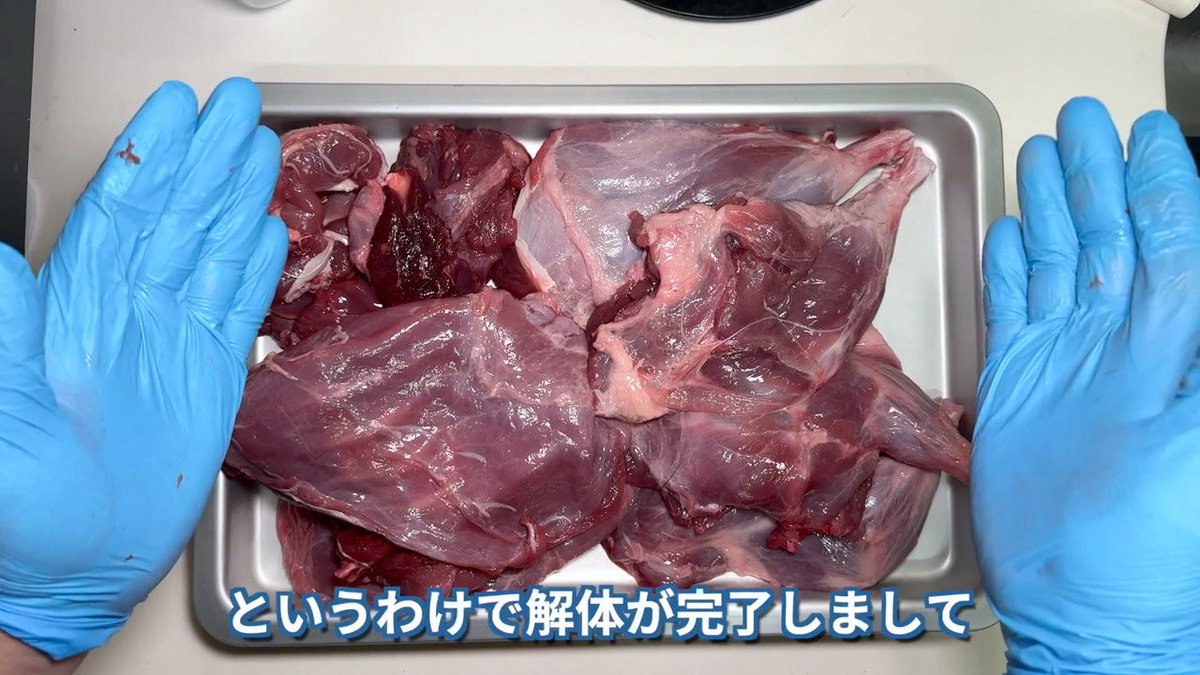 ぬーとりあ YouTube】 西日本の広い範囲に棲息する日本最大のネズミ•ヌートリア