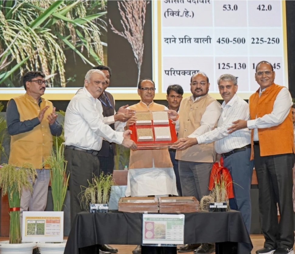 Sandeep K. Barwal (@_sandeepbarwal) on Twitter photo Many many Congratulations <a href="/iaripusa1/">IARI Pusa New Delhi</a> <a href="/ViswaChinnusamy/">Viswanathan Chinnusamy</a> sir <a href="/DBTIndia/">Department of Biotechnology</a> and all team members for great achievement 🎊 👏 💐 🎉🎉🎊🎊 Many many Congratulations <a href="/iaripusa1/">IARI Pusa New Delhi</a> <a href="/ViswaChinnusamy/">Viswanathan Chinnusamy</a> sir <a href="/DBTIndia/">Department of Biotechnology</a> and all team members for great achievement 🎊 👏 💐 🎉🎉🎊🎊