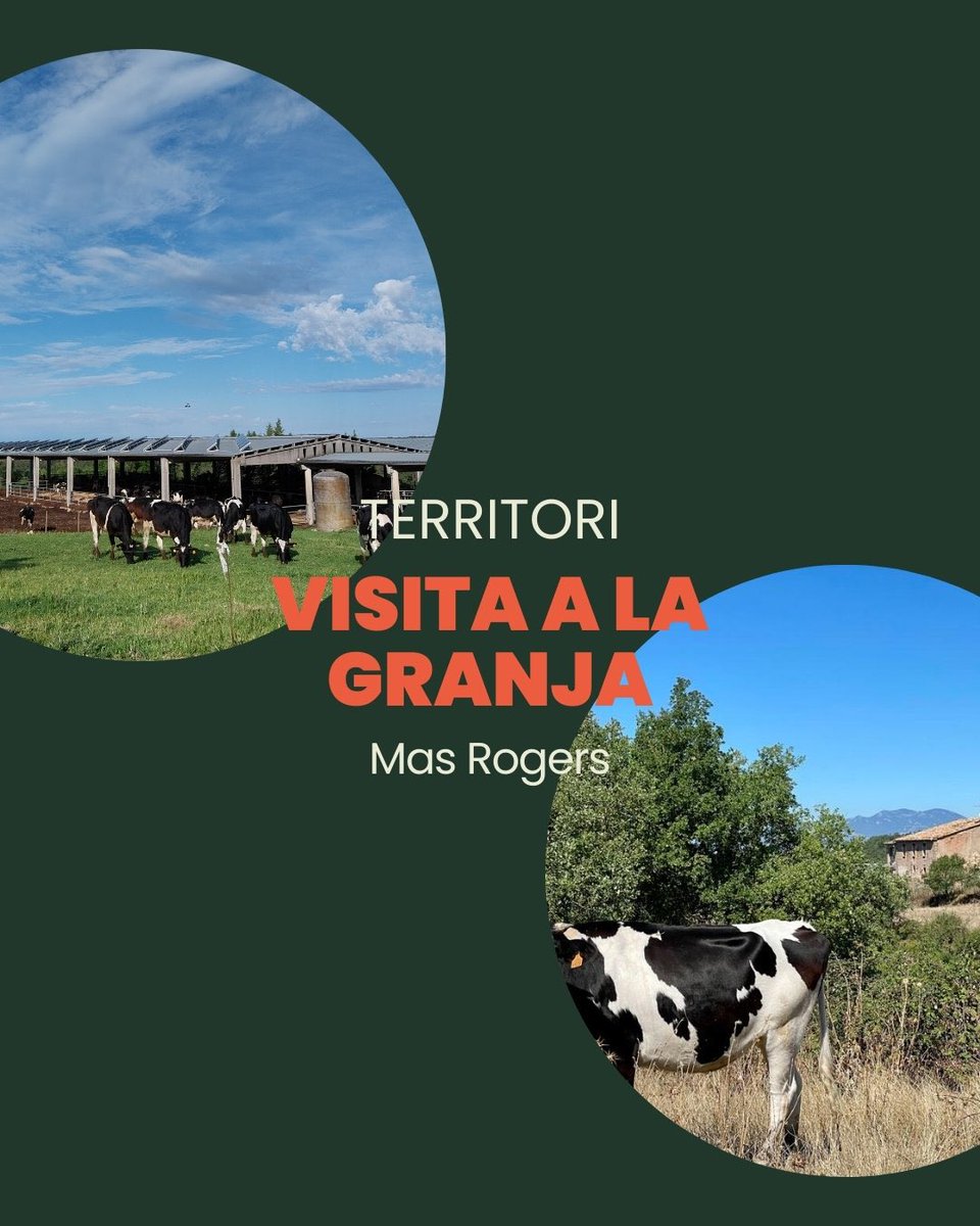 Soler de n’Hug tweet media