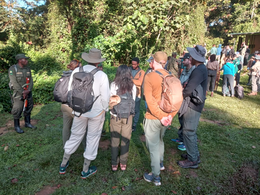 mg_adventures's tweet photo. By choosing to  arrive and depart through Kigali, Rwanda, Elizabeth managed to save over  nine hours of travel time. 

She had an unforgettable experience in Bwindi as she come face to face with the mountain gorillas.

#bwindigoritrekking #mountaingorillas #gorillatrekking https://t.co/nm8EM4Jtmc