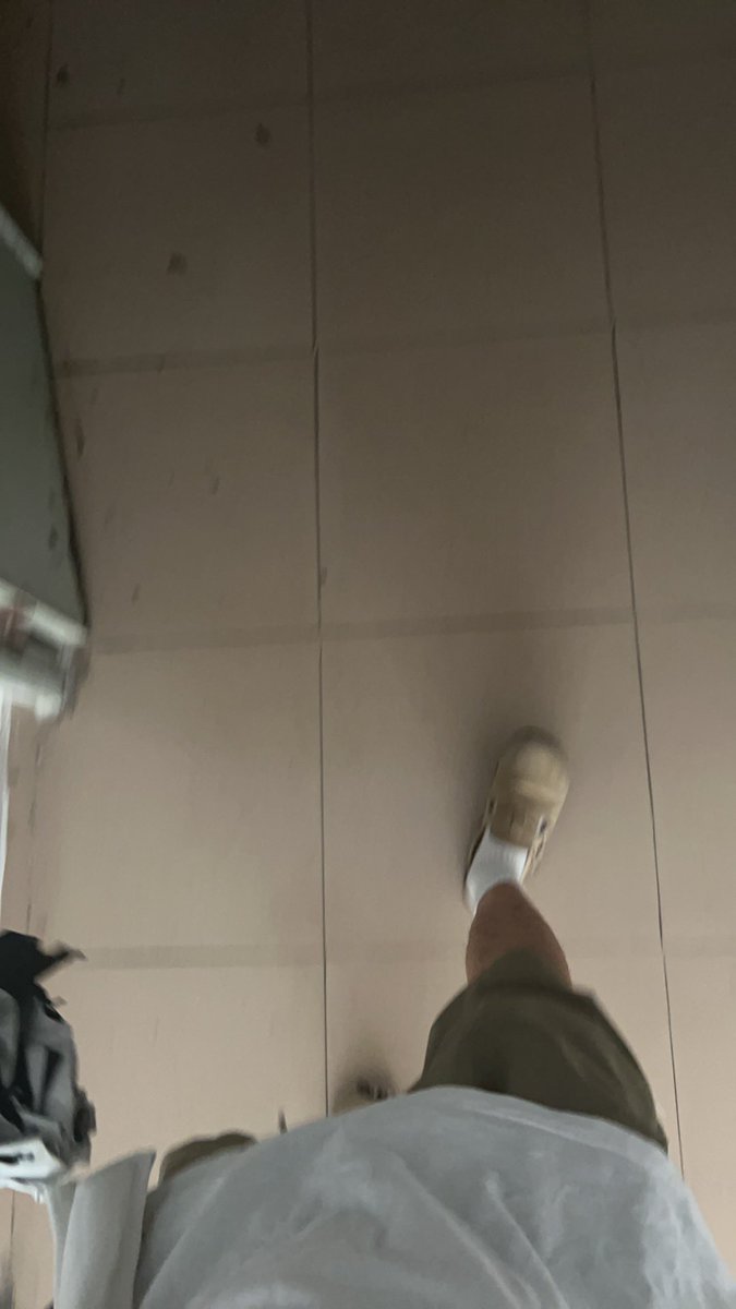 逐虹君 tweet media