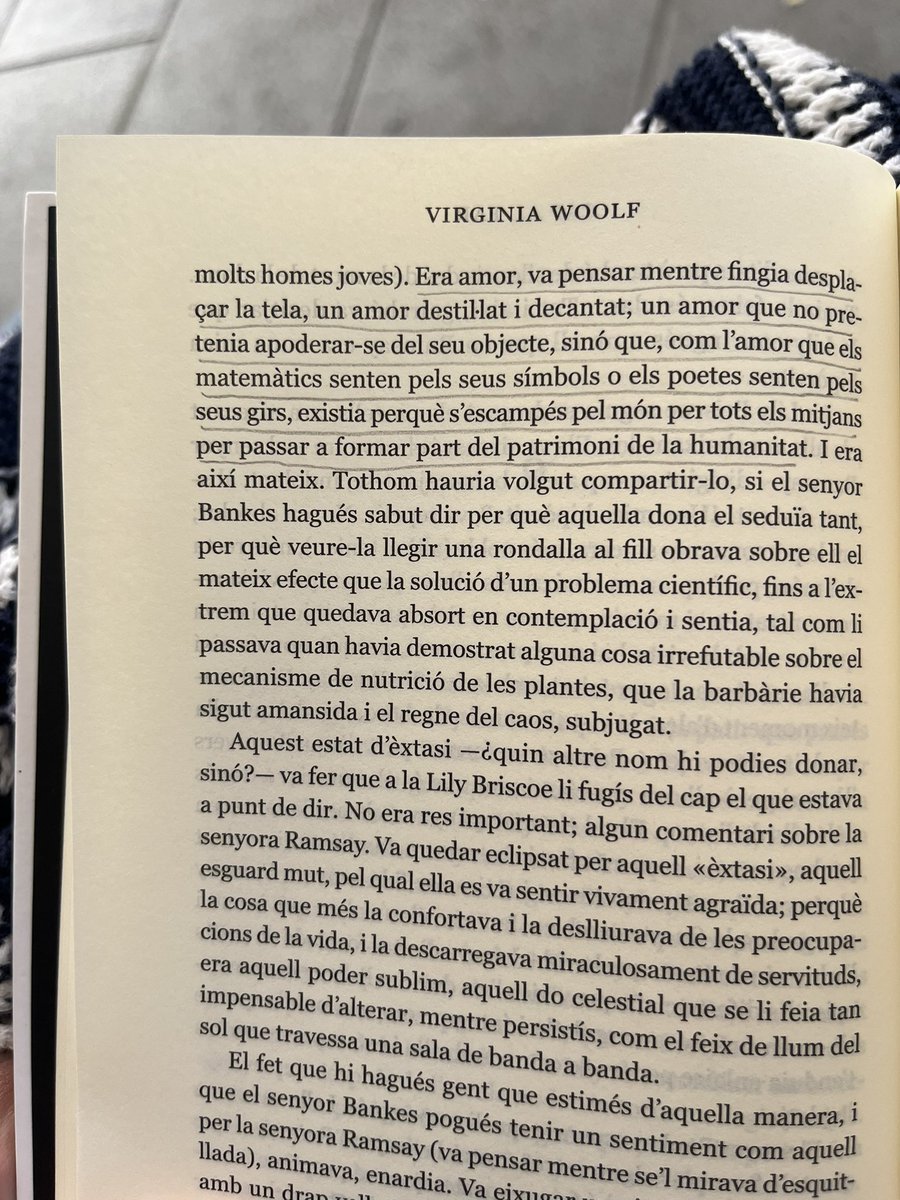 adriana campo domenech tweet media