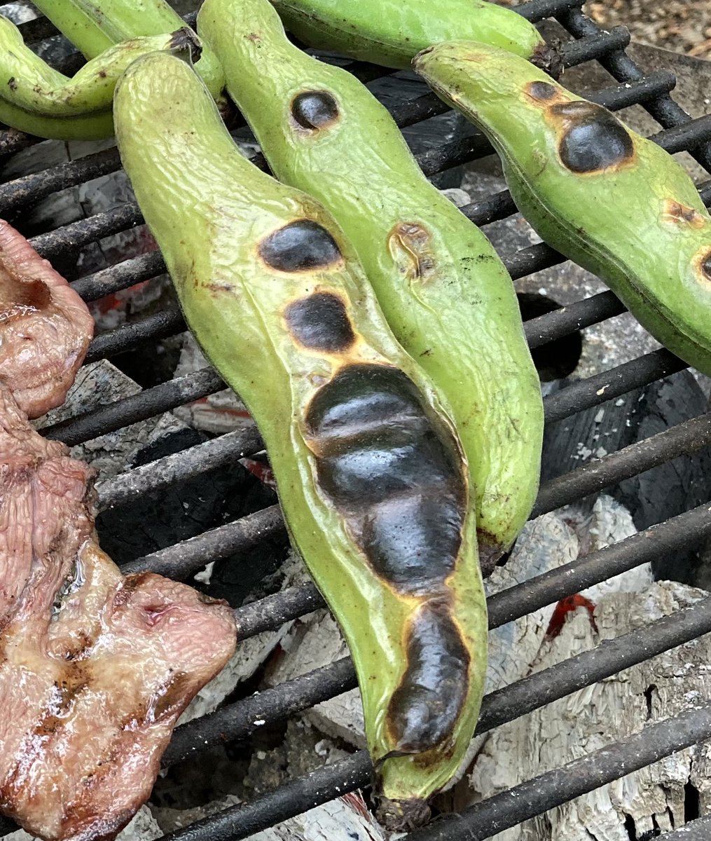 そら豆をさやごと焼いて塩で味わうと、香ばしさと甘みが凝縮され、おいしいです。
