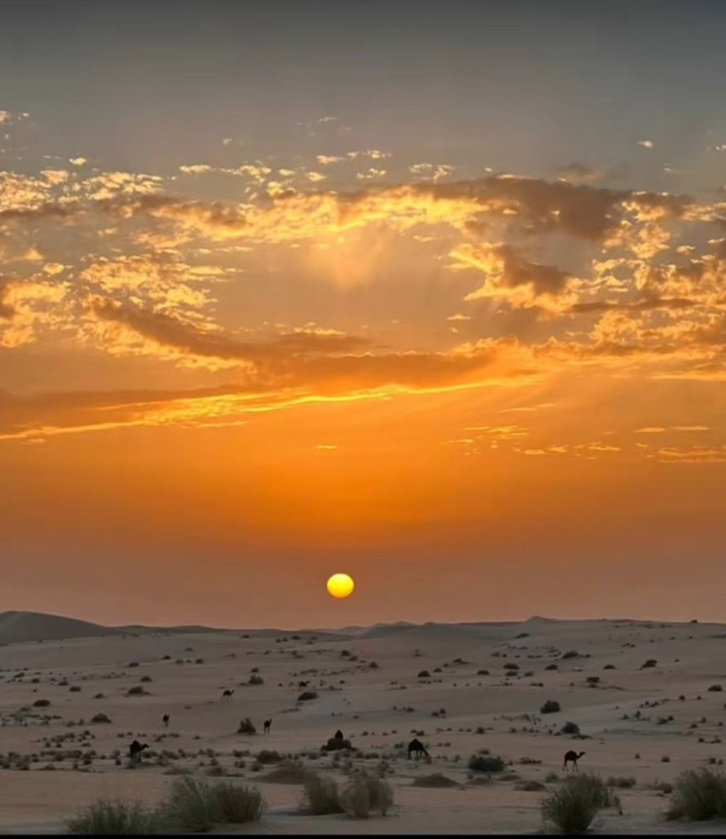غروب الشمس رحيل صامت بأجمل المعاني..
#م_خ