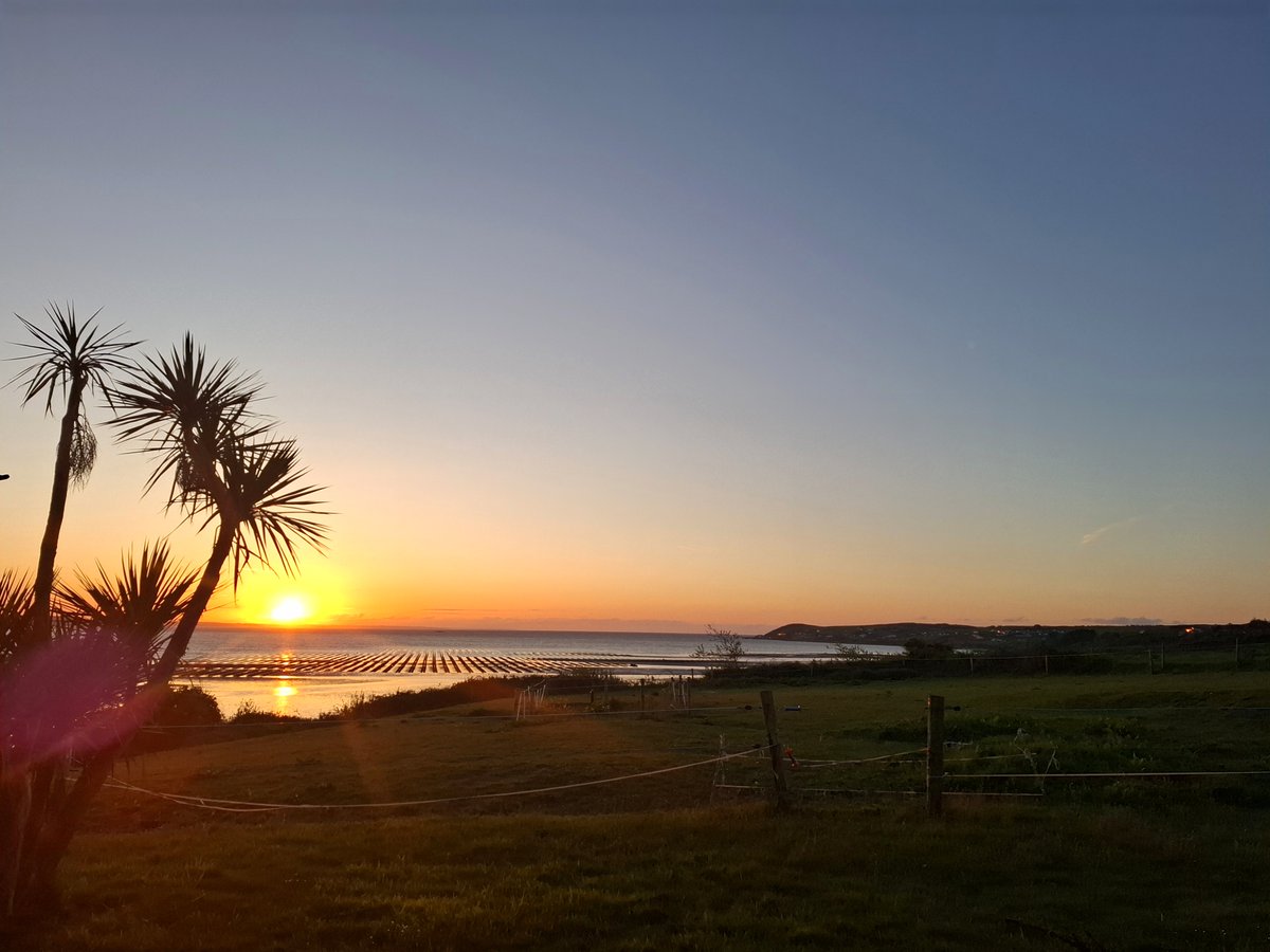Joan Clancy Gallery (@clancygallery) on Twitter photo Sunrise over Dungarvan Bay this morning from <a href="/ClancyGallery/">Joan Clancy Gallery</a>
<a href="/VisitWaterford/">Visit Waterford</a> <a href="/GaeltachtDeise/">Gaeltacht na nDéise</a> <a href="/VisitDungarvan/">Visit Dungarvan</a> <a href="/cfdeise/">Comhlucht Forbartha na nDéise</a> #ContemporaryIrishArt #TiparmmusicPublishing <a href="/ClancyFestival/">ClancyBrothersFest</a> <a href="/IrelandAncient/">IrelandsAncientEast</a> <a href="/waterfordgr/">Waterford Greenway</a> Sunrise over Dungarvan Bay this morning from <a href="/ClancyGallery/">Joan Clancy Gallery</a>
<a href="/VisitWaterford/">Visit Waterford</a> <a href="/GaeltachtDeise/">Gaeltacht na nDéise</a> <a href="/VisitDungarvan/">Visit Dungarvan</a> <a href="/cfdeise/">Comhlucht Forbartha na nDéise</a> #ContemporaryIrishArt #TiparmmusicPublishing <a href="/ClancyFestival/">ClancyBrothersFest</a> <a href="/IrelandAncient/">IrelandsAncientEast</a> <a href="/waterfordgr/">Waterford Greenway</a>