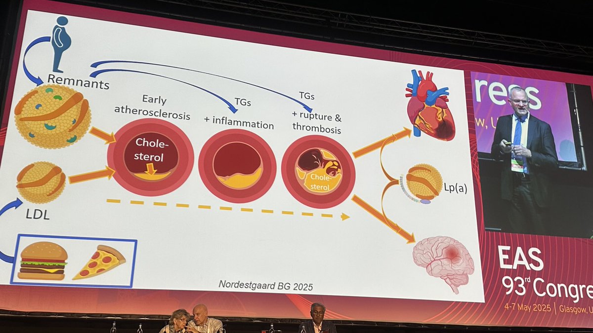 PamTaubMD's tweet image. @BNordestgaard giving an outstanding talk at the joint @society_eas and @nla at #EAS2025 on remnant cholesterol. @CBallantyneMD @DrMarthaGulati @tmodarressi @JamalRanaMD @pabeda1 @ProfKausikRay
