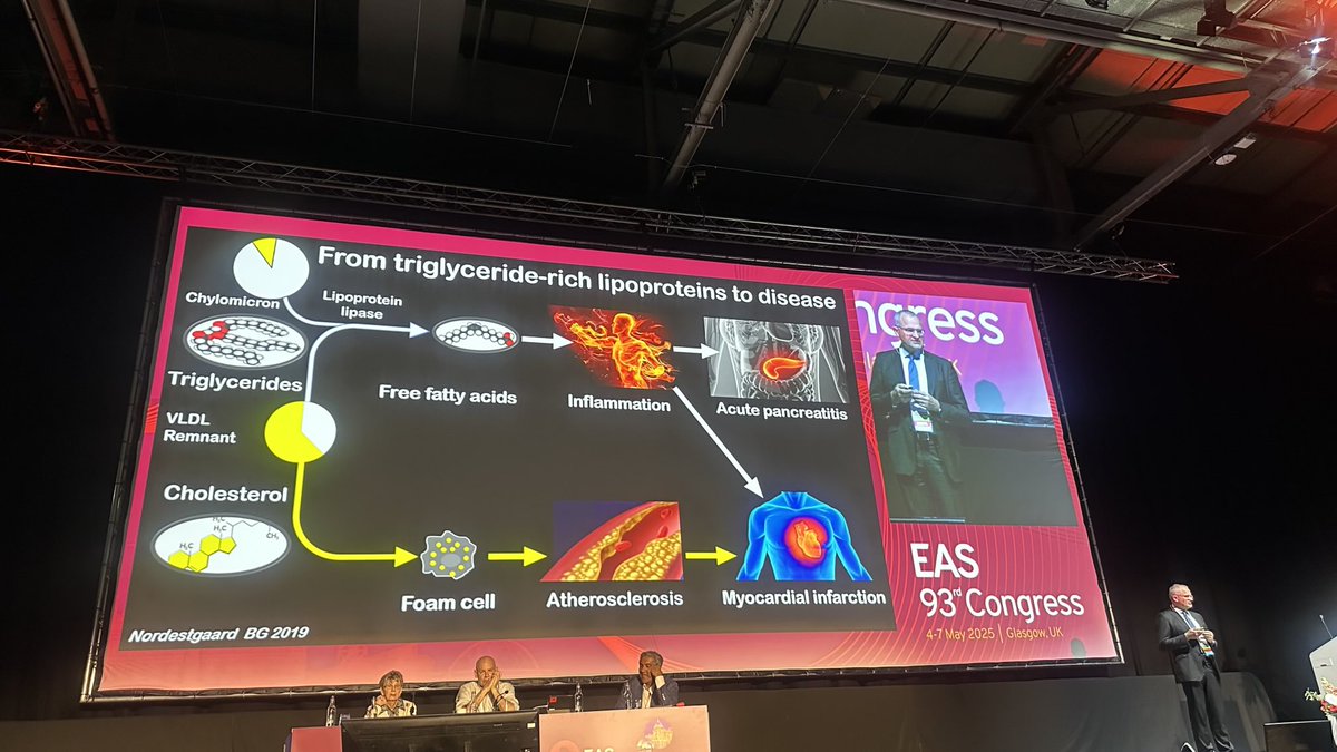 PamTaubMD's tweet image. @BNordestgaard giving an outstanding talk at the joint @society_eas and @nla at #EAS2025 on remnant cholesterol. @CBallantyneMD @DrMarthaGulati @tmodarressi @JamalRanaMD @pabeda1 @ProfKausikRay