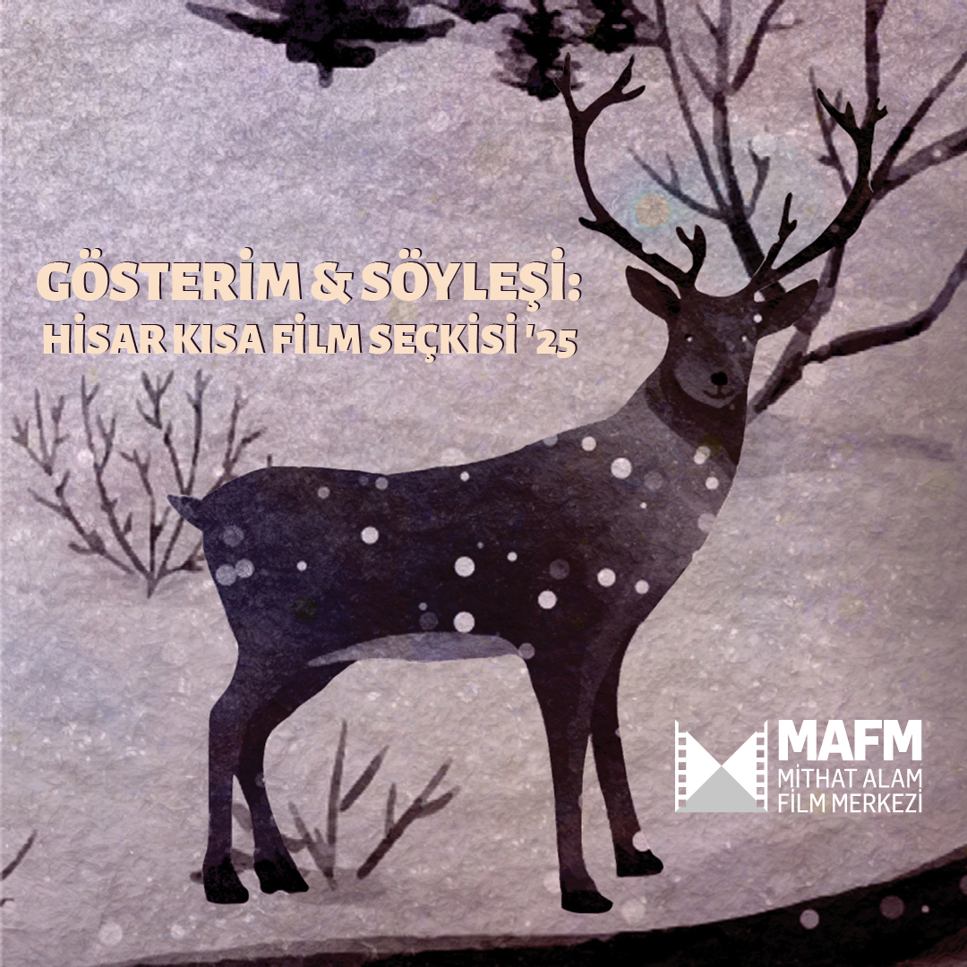 MAFM tweet media