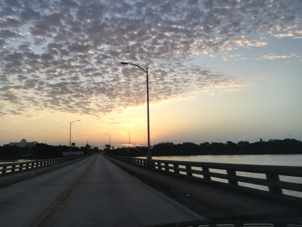 Jane Failer tweet media