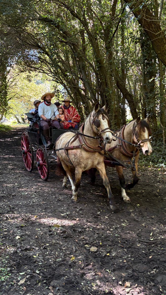 Buen #LunesdeCaballos ! Buena semana ! 
Ayacucho, Prov de BsAs Argentina en el homenaje al El gato y el mancha.