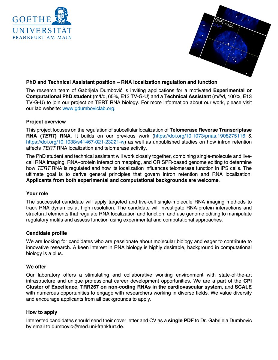 Our lab is expanding!
We are looking for an experimental or computational PhD student and a Technical Assistant for a project on RNA localization regulation. Details 👉 shorturl.at/fWH3u
⏳ +1 more PhD spot still open—10 days left to apply!
shorturl.at/Udw0Q #PhD