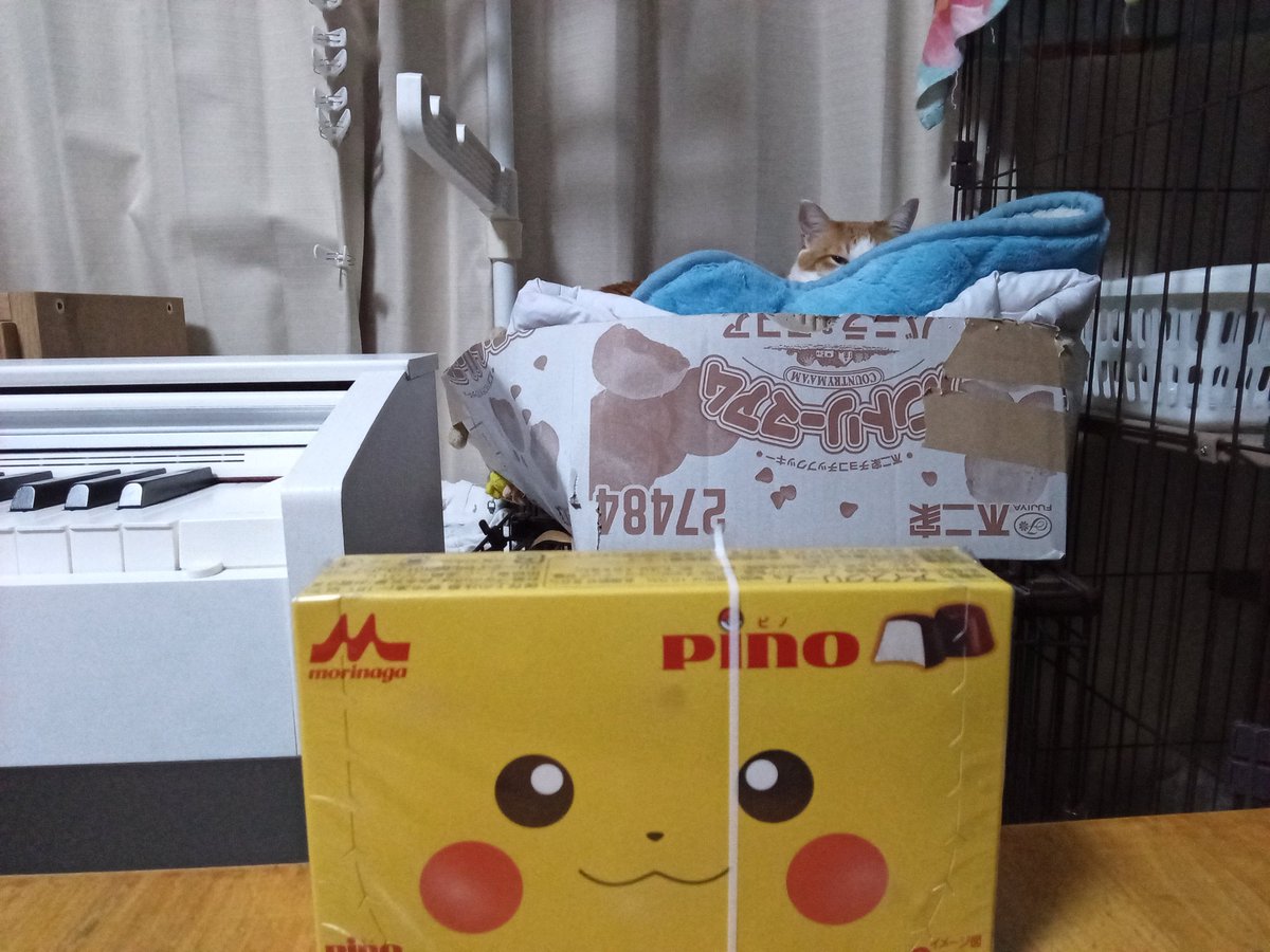 ピノこうにゅ
👁️