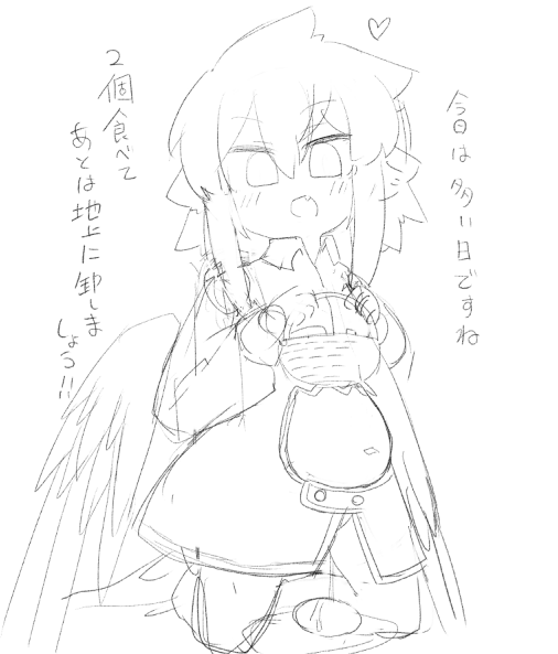 多い日も安心(?? 