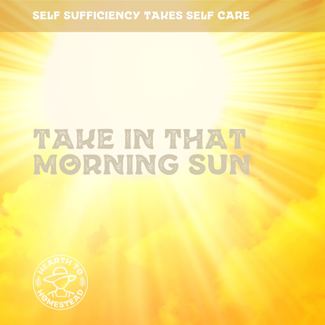 Catch some early morning sun! ☀️ Just 10-15 minutes can boost your Vitamin D &amp; your mood. It’s a natural way to start your day bright.

#VitaminD #SunshineBoost #homesteading #homesteadingcanada #farming  #gardening #smallfarm #farmher #backyardfarm #farmstead #hobbyfarming