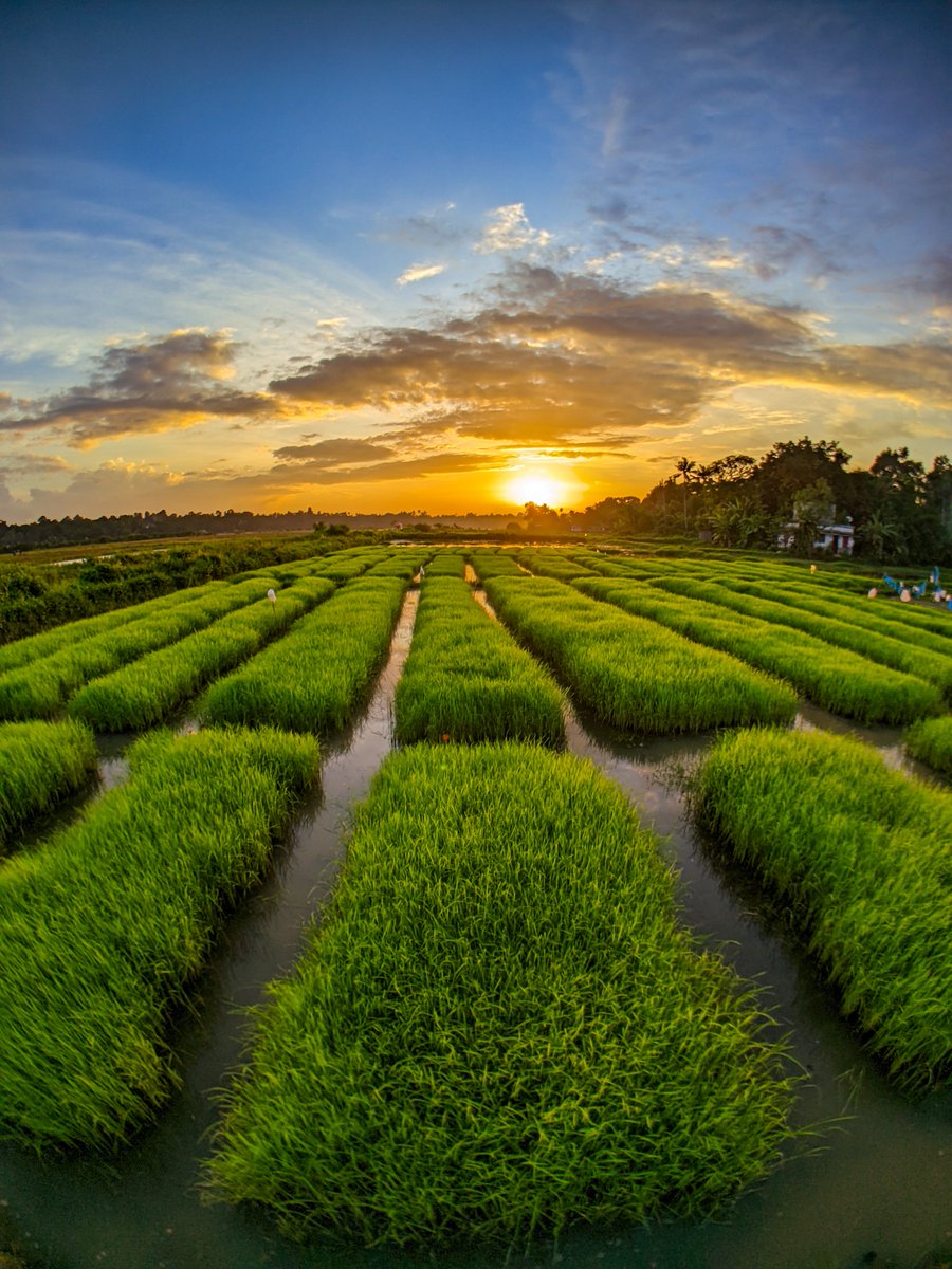 Ajeesh021997's tweet image. Hidden Gems Of Kerala
1. Umayanallor, kerala
2. Varkala cliff, kerala
3. Manthara Cliff, kerala
4. Black Sand Beach, kerala
#FramesofIndia @LavaMobile