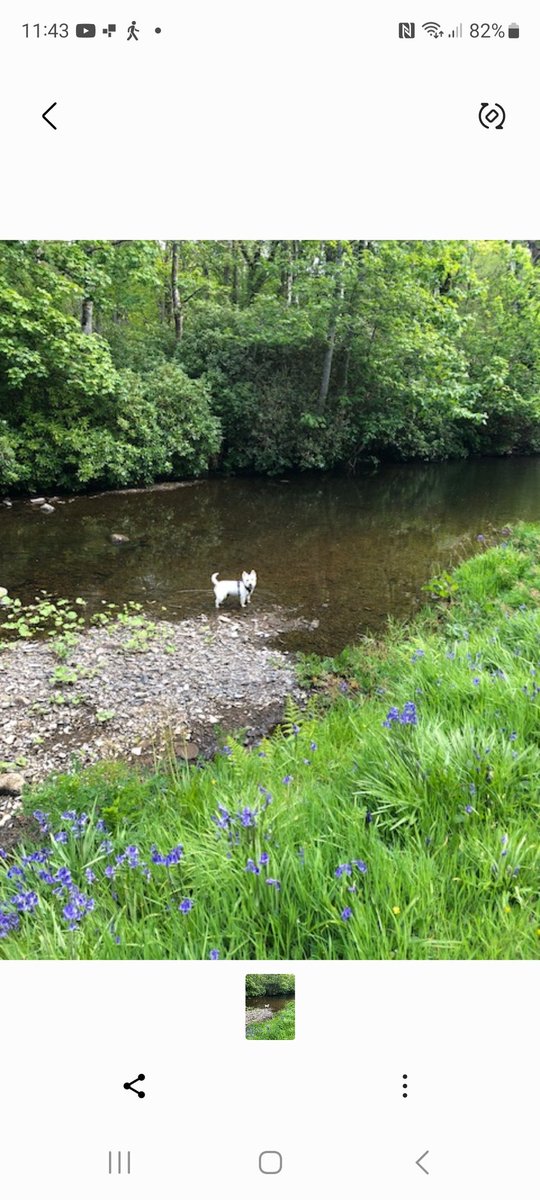 Sam paddling in the Sorn #Bridgendwoods#isleofislay