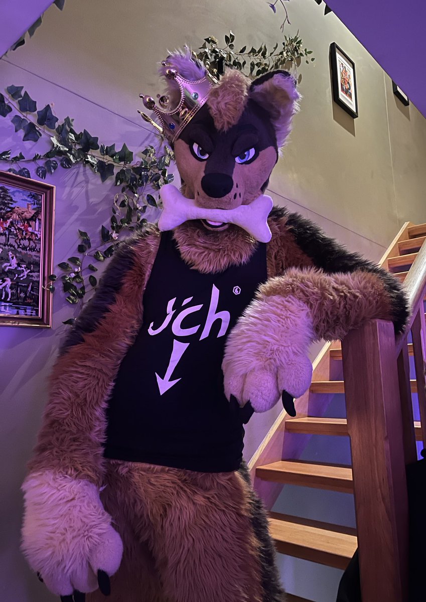 Rusty (@oxidiseddingo) on Twitter photo Come on take it, I dare you!
It might not be the only bone you get ;P
πΈ<a href="/august_jasper_/">august π // jasper π¦</a> Come on take it, I dare you!
It might not be the only bone you get ;P
πΈ<a href="/august_jasper_/">august π // jasper π¦</a>