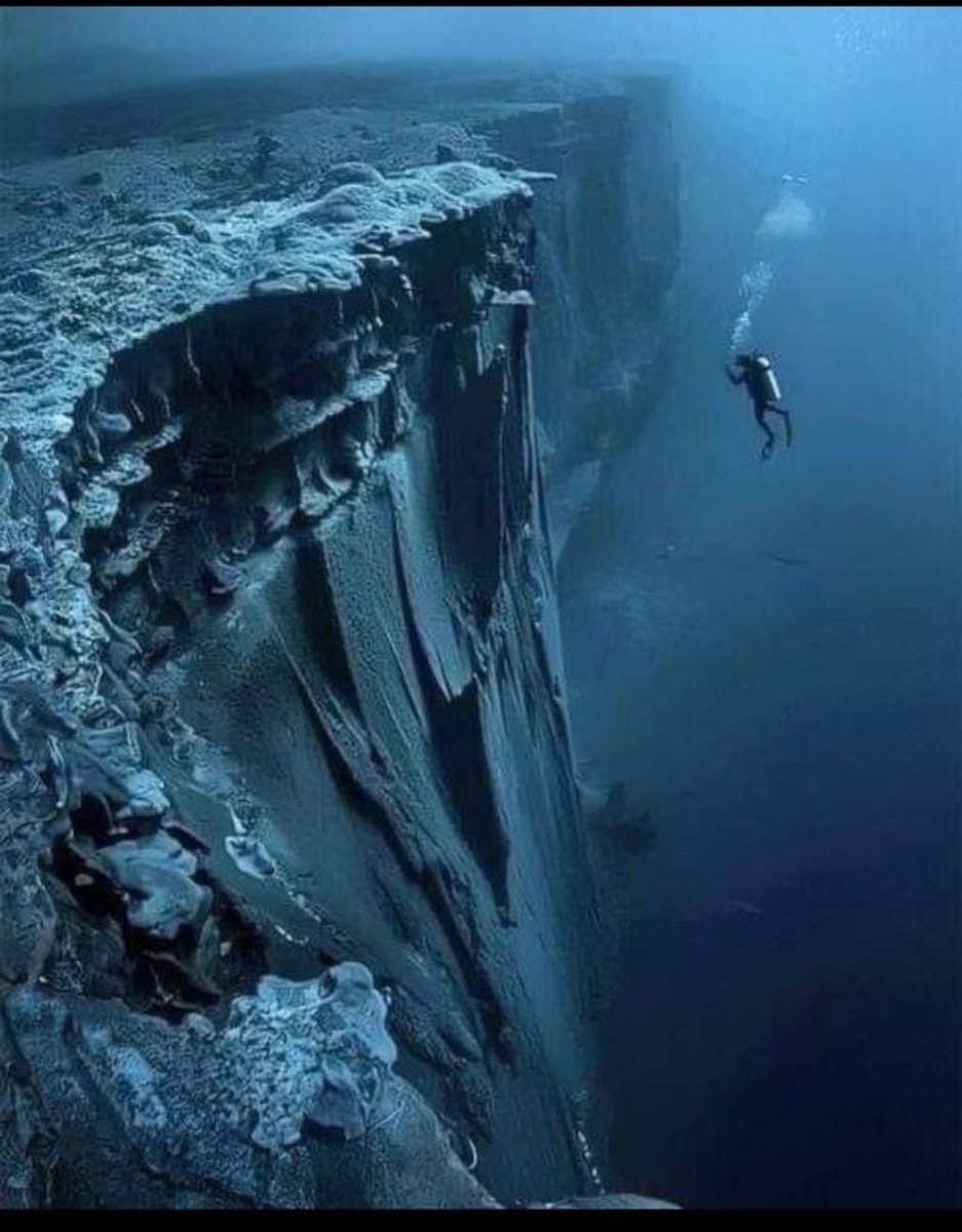 earth_tracker's tweet image. The terrifying beauty of the Ocean. 🧵

A Thread Not for the soft-hearted ⚠️