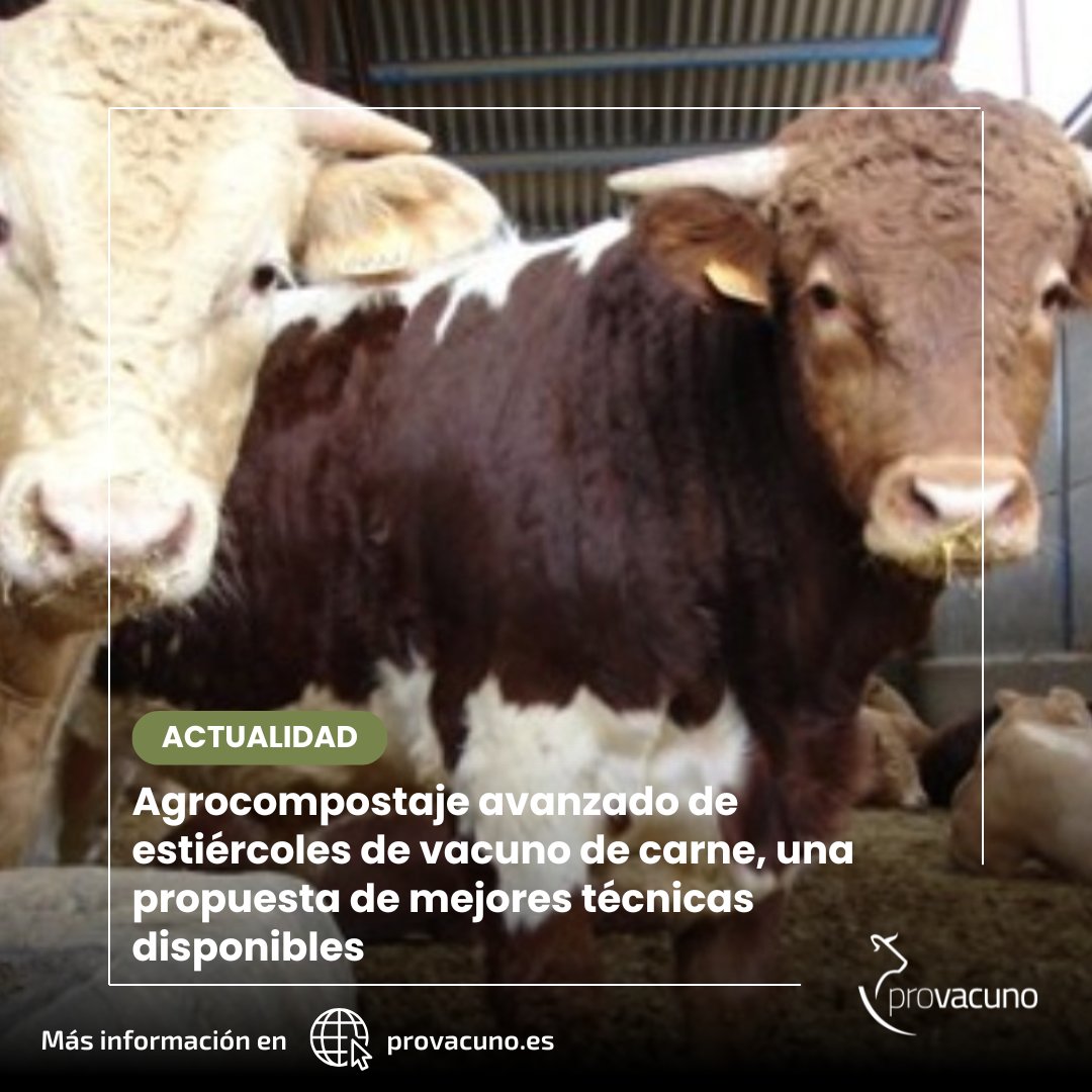 📣 Provacuno organiza dos jornadas (presencial y online), los días 20 y 29 de mayo, en Murcia y Valladolid, respectivamente, para presentar los resultados del proyecto de mejores técnicas disponibles para el agrocompostaje avanzado de estiércoles de #VacunoDeCarne.

Sigue hilo ⤵️