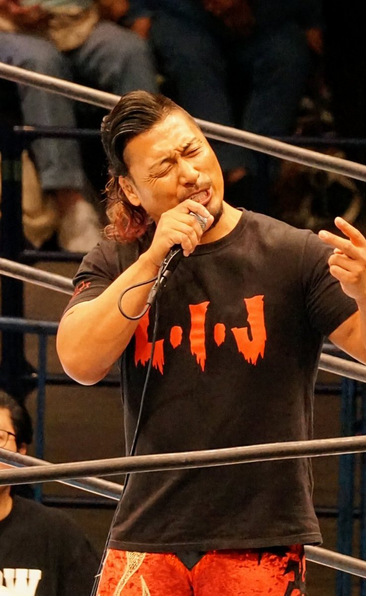 【犬2022】内藤哲也スカジャン LOS INGOBERNABLES 犬2022】内藤哲也スカジャン LOS INGOBERNABLES LOS