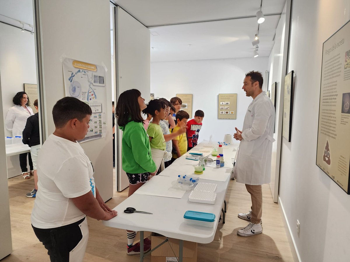 Ciudad Ciencia (@ciudadciencia) on Twitter photo 🔬¿Qué es la cromatografía? Y, ¿el ADN? En el taller 'Del laboratorio al rebaño' del <a href="/Igm_Leon/">Instituto de Ganadería de Montaña (CSIC-ULE)</a>, estudiantes de #Astorga aprendieron con experimentos principios físicos, químicos y biológicos. La actividad que cerró la programación de LA CIENCIA NOS LLEVA DE CALLE #CiudadCiencia 🔬¿Qué es la cromatografía? Y, ¿el ADN? En el taller 'Del laboratorio al rebaño' del <a href="/Igm_Leon/">Instituto de Ganadería de Montaña (CSIC-ULE)</a>, estudiantes de #Astorga aprendieron con experimentos principios físicos, químicos y biológicos. La actividad que cerró la programación de LA CIENCIA NOS LLEVA DE CALLE #CiudadCiencia