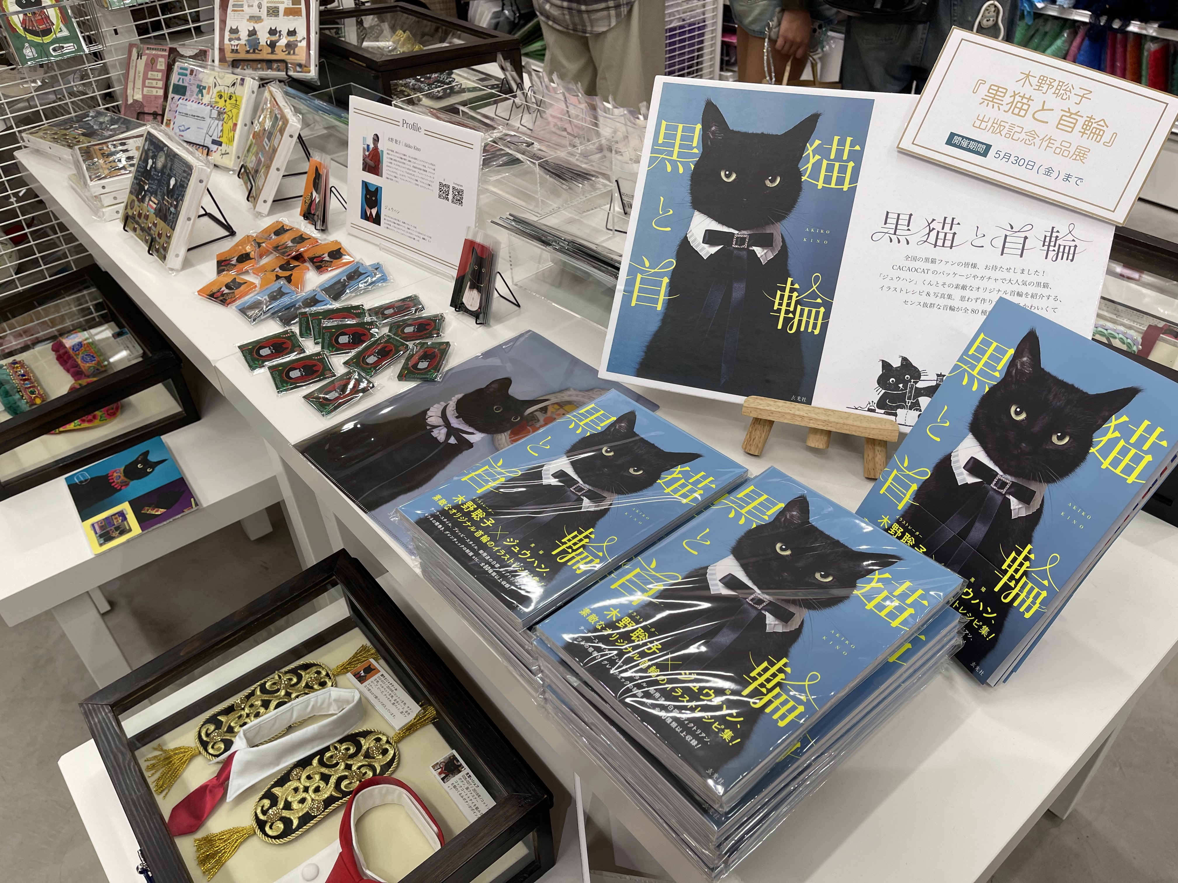 黒ねこミケシュのぼうけん(ヨゼフ・ラダ 文・絵 ; 小野田澄子 訳