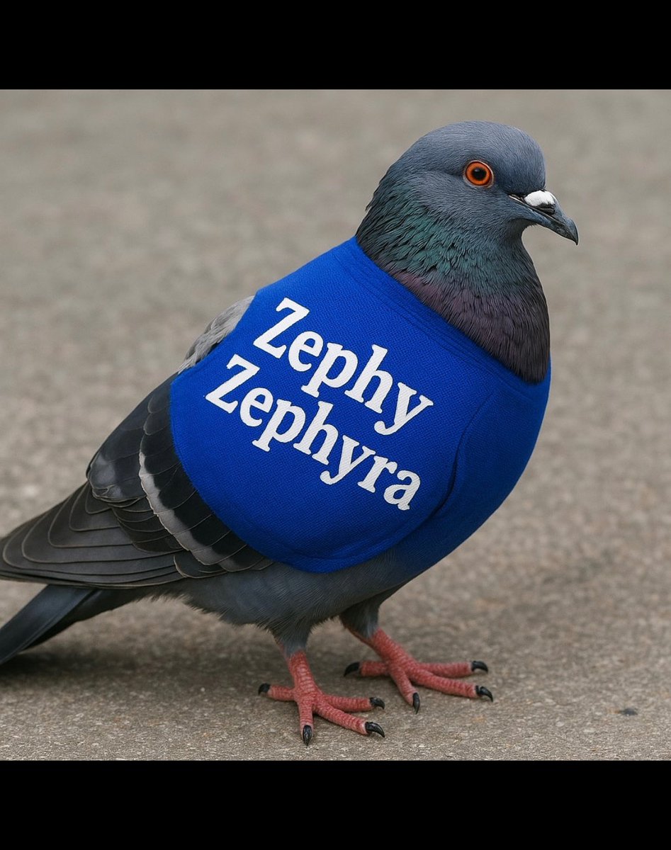 Fred&Friends tweet media