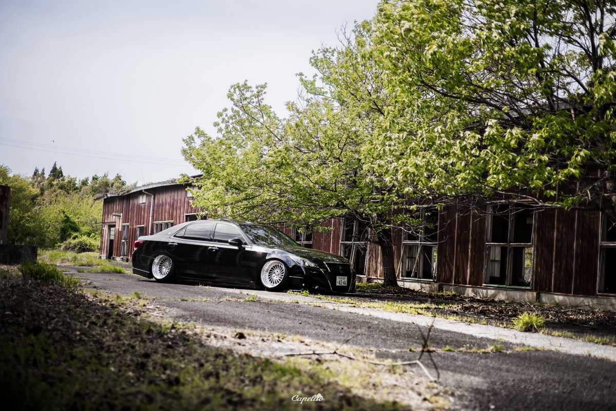 カペリート (@iwa_athlete4247) / Posts / X