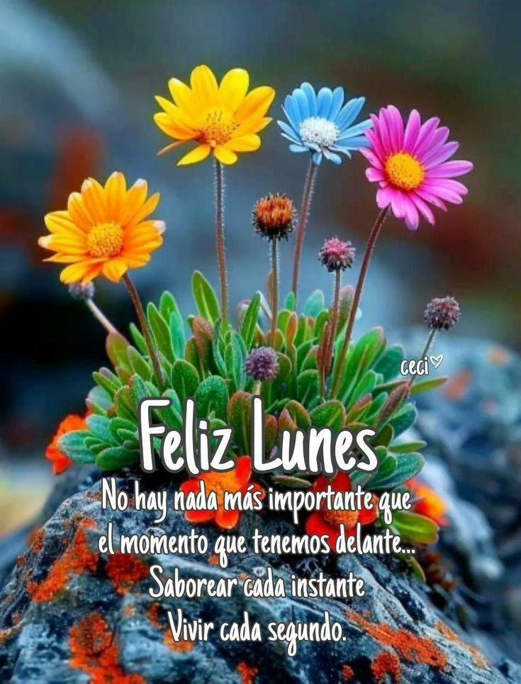 No hay nada más importante que momento que tenemos delante..
#BuenosDíasATodos