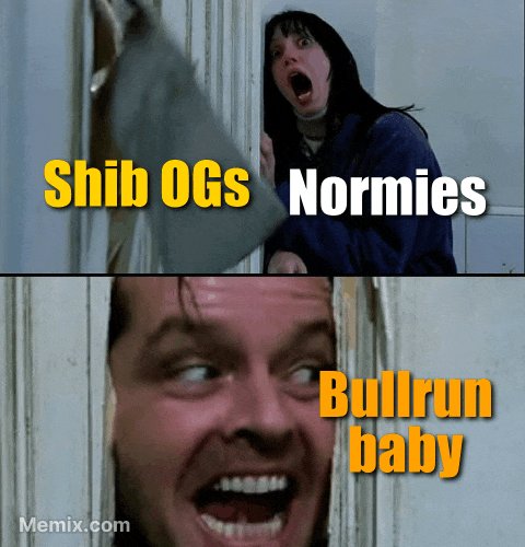 Good morning Shibarmy