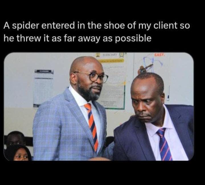 🤣🤣🤣🤣