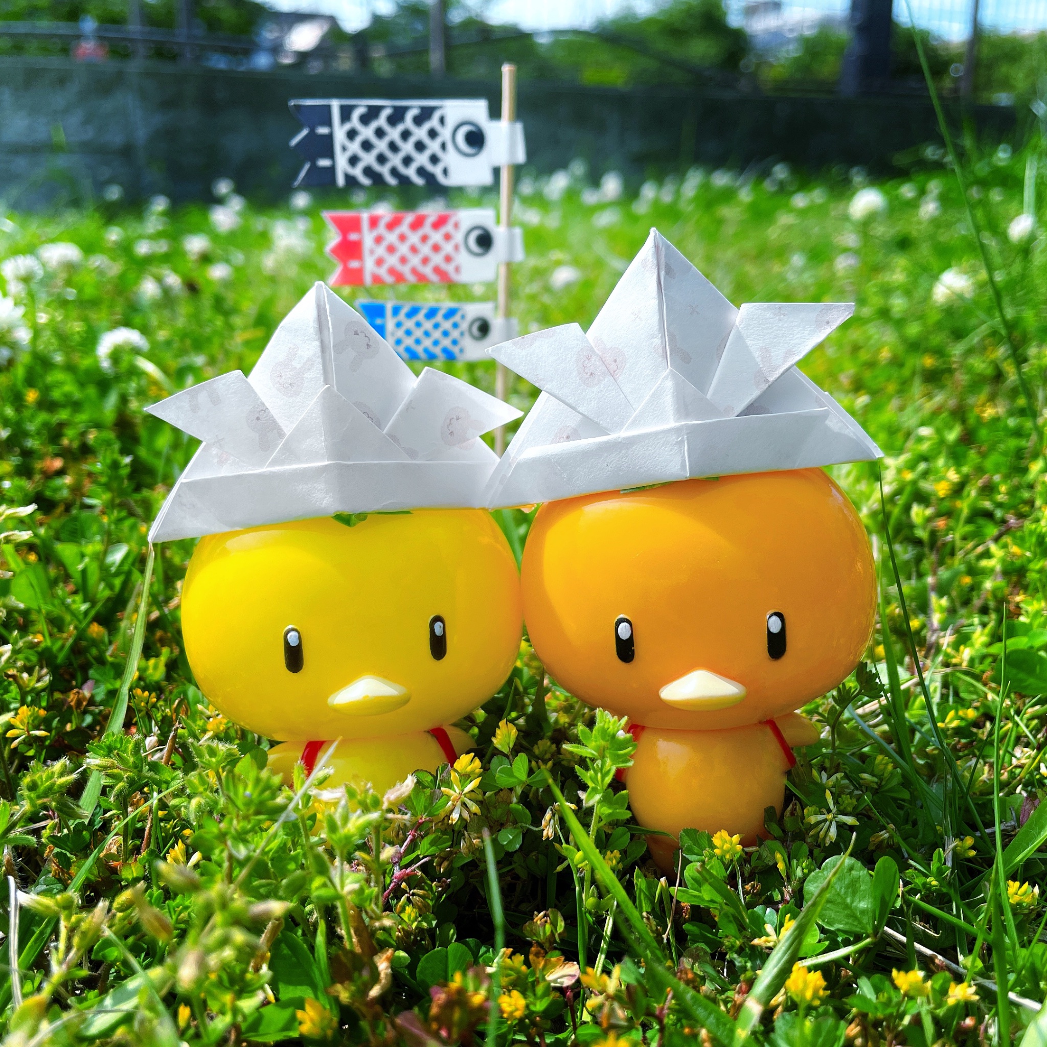 B級季節の柑橘詰合せ🍊10キロ | 柑橘直送 YAJIMA農園