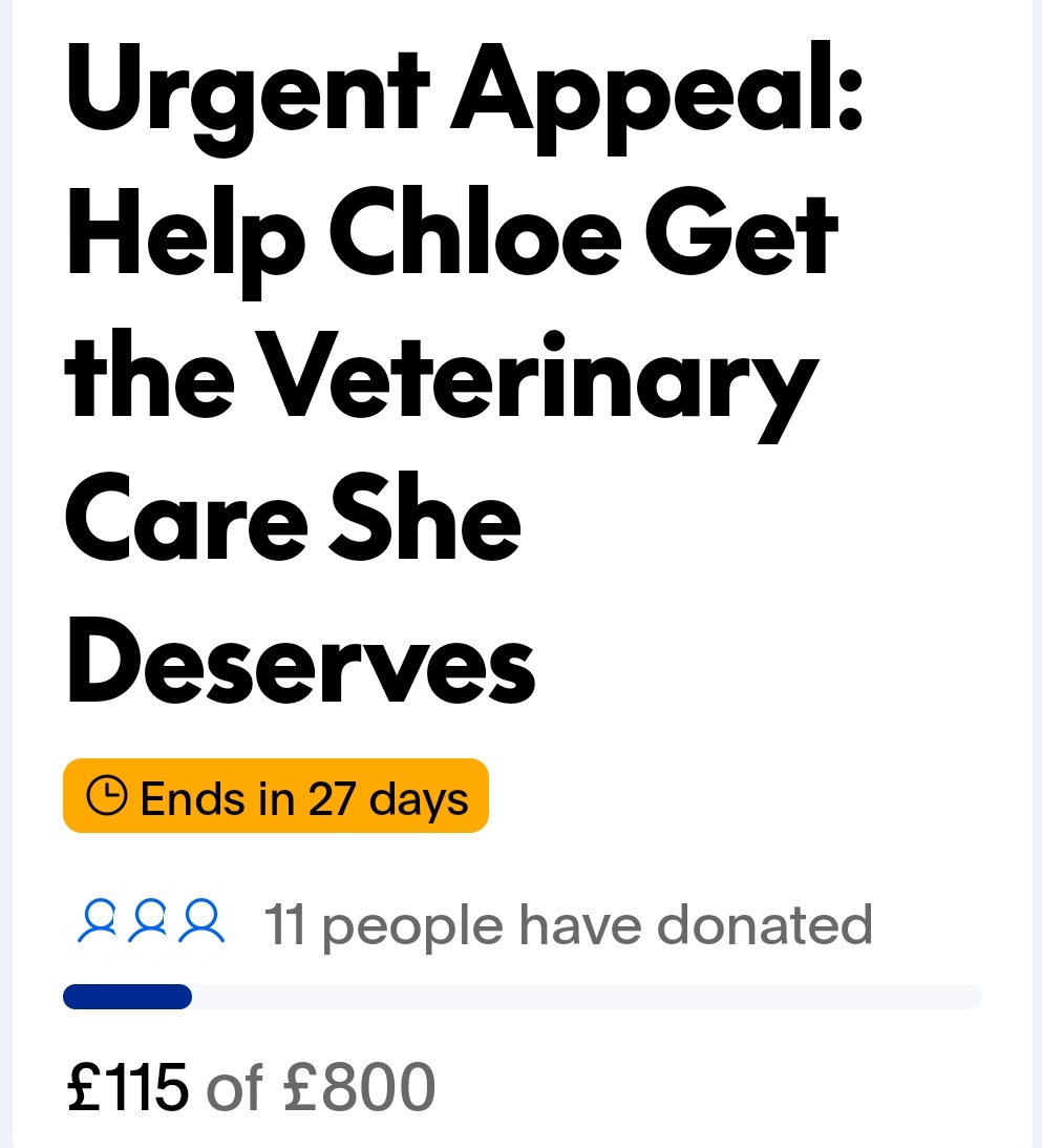 We are making a dent, but we're still very far from getting Chloe the urgent care she needs. 

Be amazing today, please consider donating and giving Chloe the chance she deserves.

#dogsoftwitter #Dogs #VEDay #dogsofx #DogRescue #VEDay80