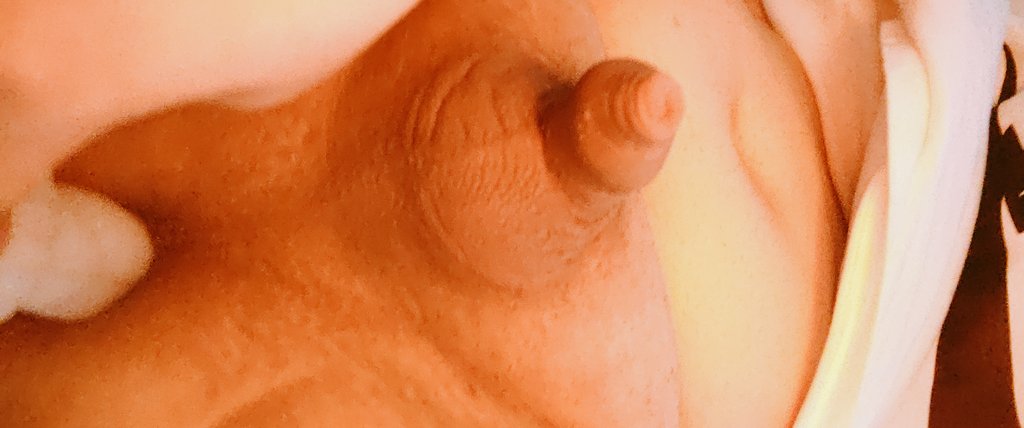 浩浩浩 tweet media