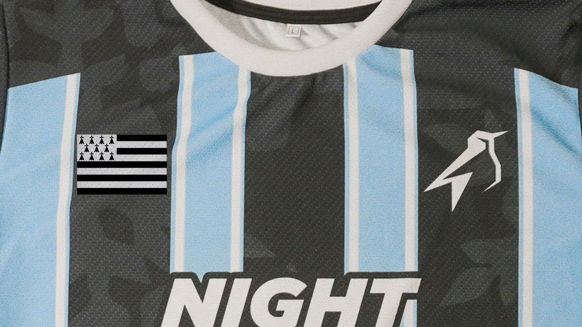 Représente ton pays, ta région ou ton identité avec le nouveau maillot NP 2025 ! 👕

Et parce que l'esport, ce n'est pas que du divertissement :

➡️ Tous les bénéfices du flocage Palestine 🇵🇸 seront reversés à une association qui aide les victimes du génocide.

(Lien en réponse)