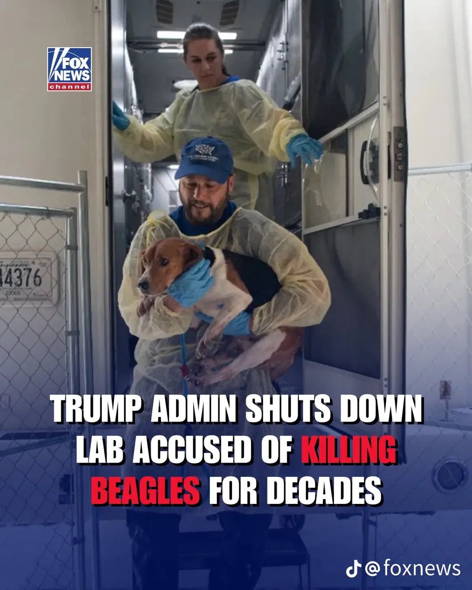 I voted for this 😎