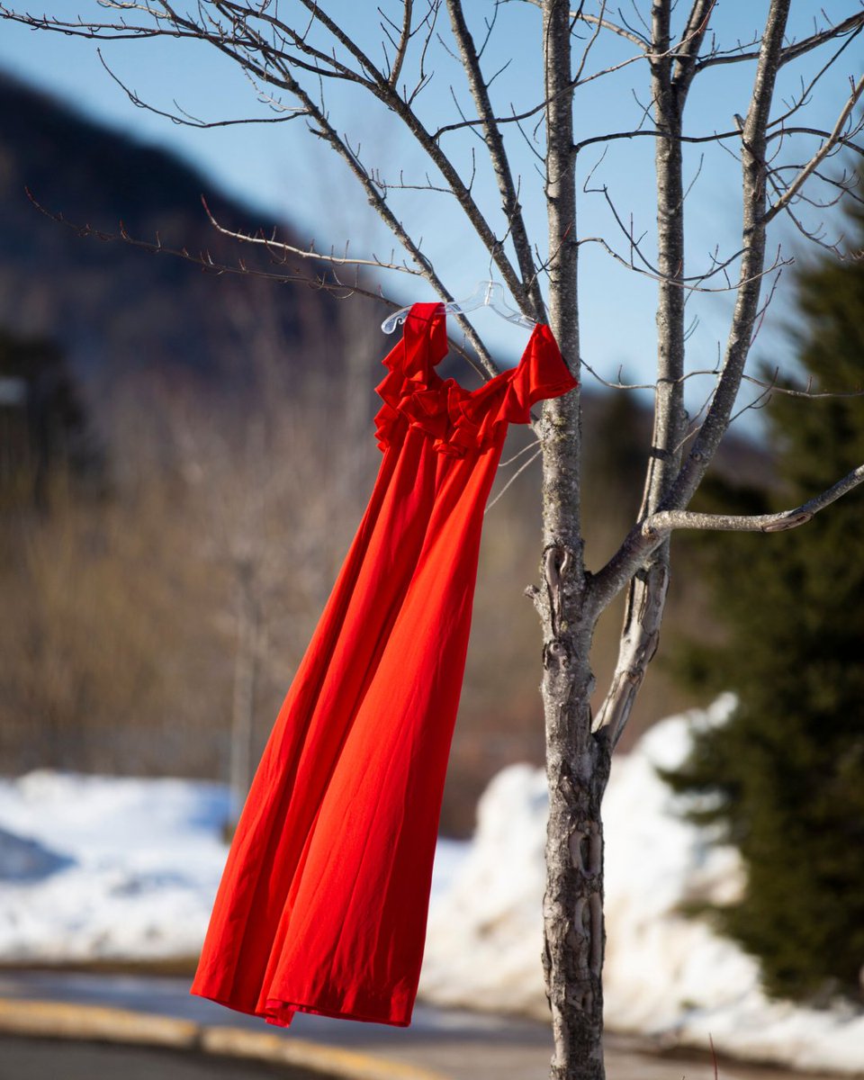 May 5  is Red Dress Day, known as the National Day of Awareness for Missing &amp; Murdered Indigenous, Women, Girls &amp; Two-Spirit People. Displaying red dresses brings awareness to the persistent &amp; deliberate human rights violations &amp; calls us all to action to resolve this crisis.