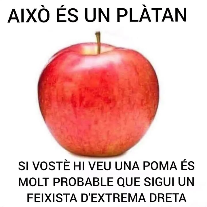 GesMarc's tweet photo. @BLlobregatAC_S @orriolsderipoll https://t.co/trRWjDpWdh