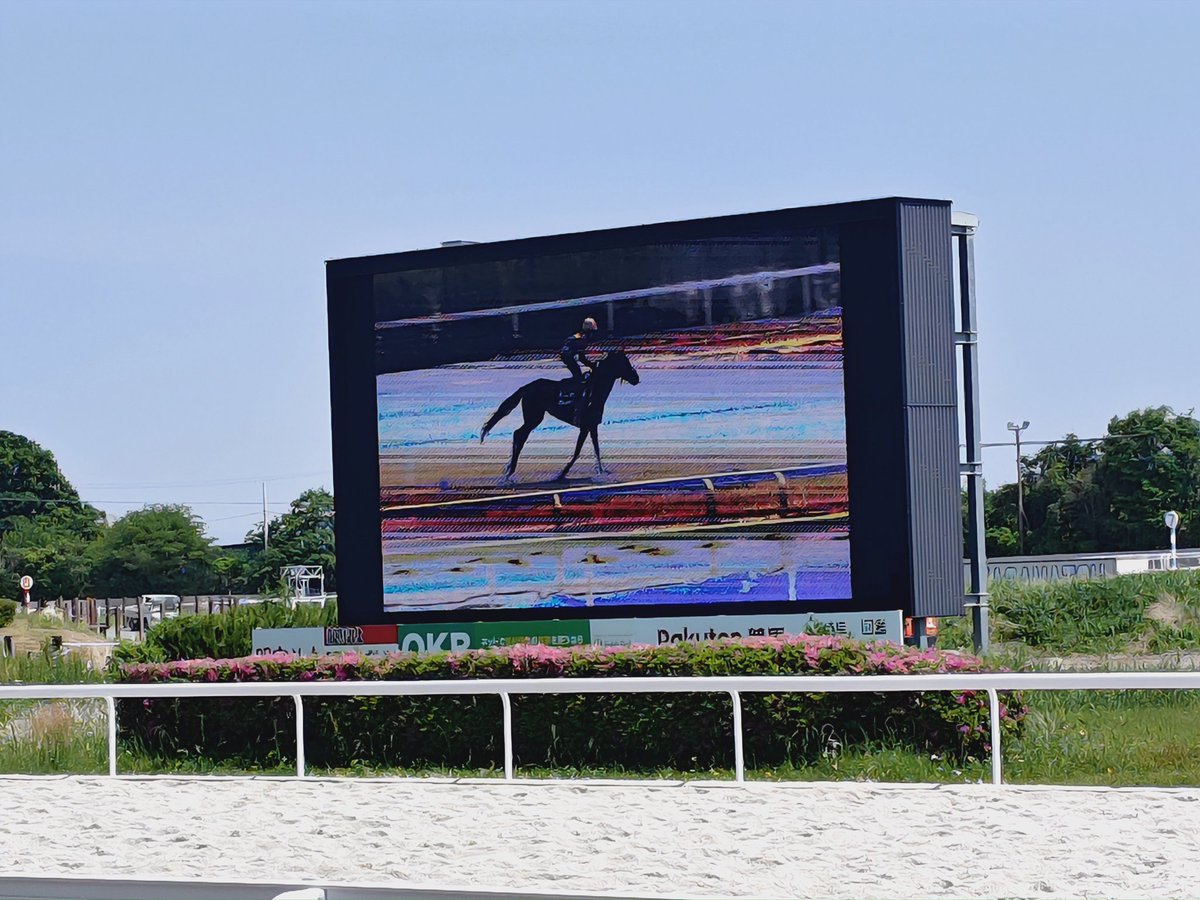 smithsyoshi's tweet photo. 小学校の頃だったかな?絵の具、水入れ、筆などを持って、競馬場へ写生に行った記憶があります。久しぶりに訪れましたが、のんびりできる場所でした。#笠松競馬 #名鉄電車 #オグリキャップ #ウマ娘シンデレラグレイ https://t.co/JPR1EwnOKO