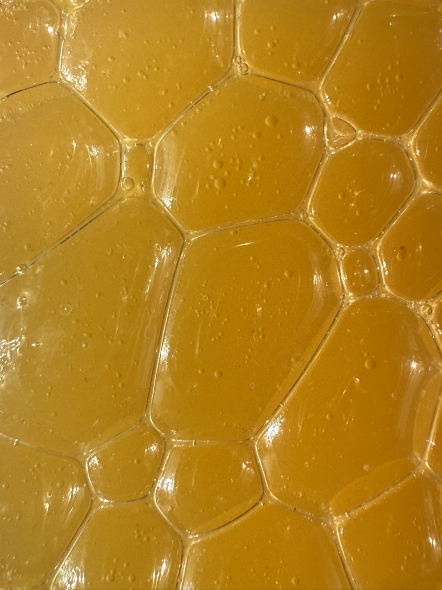 Abstractum
<a href="/Gallery365photo/">Gallery365photo</a>  
#Gallery365in2025 
#Gallery365in2025dailyprompt