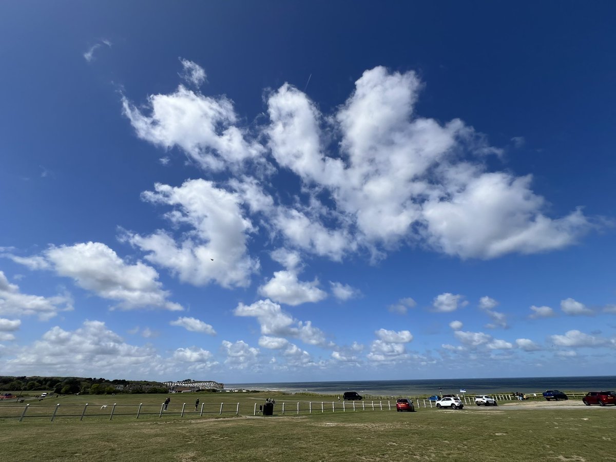 Caroline Ashby tweet media