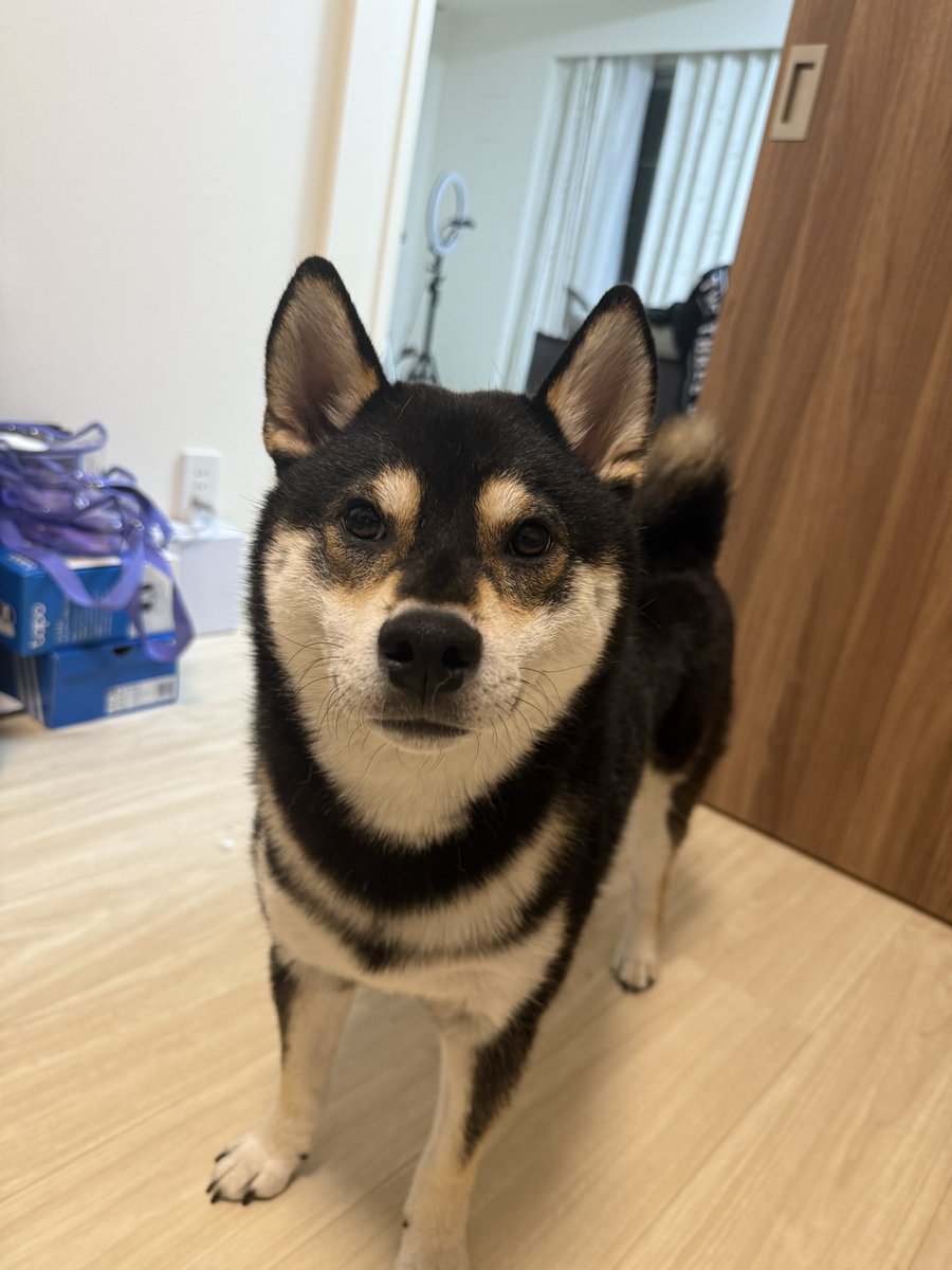 桶狭間 tweet media